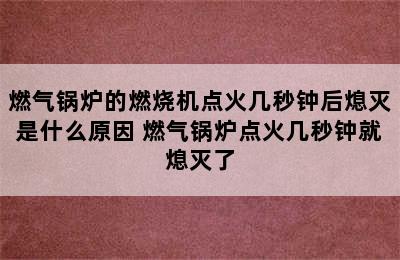 燃气锅炉的燃烧机点火几秒钟后熄灭是什么原因 燃气锅炉点火几秒钟就熄灭了